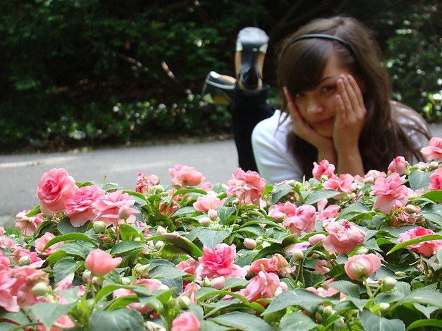 Anetka again