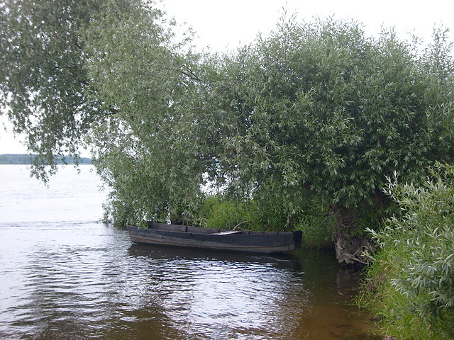 WISLA