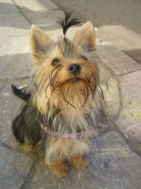 Moja koffana Gabrysia:*