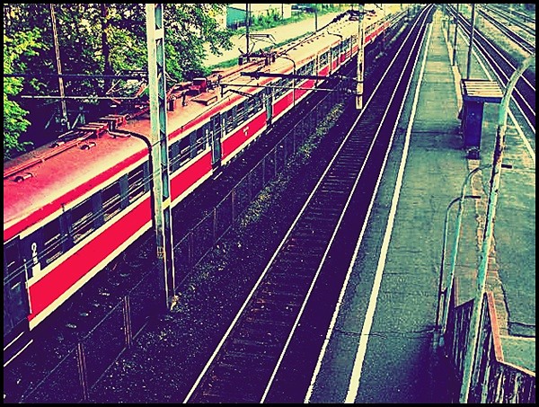 pocig.