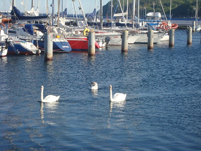 Gdynia. Przysta. abdzie
