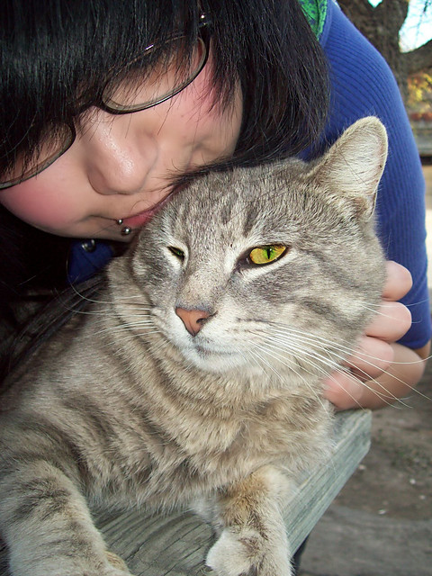Mrau =^-^=