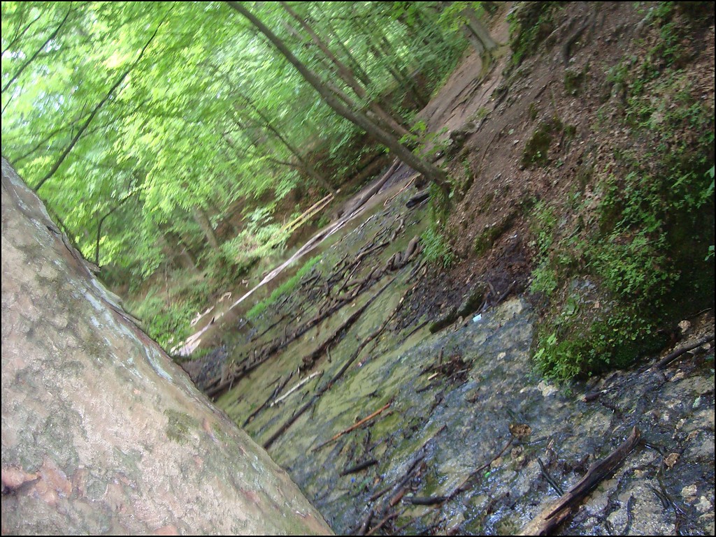 rzeczka.