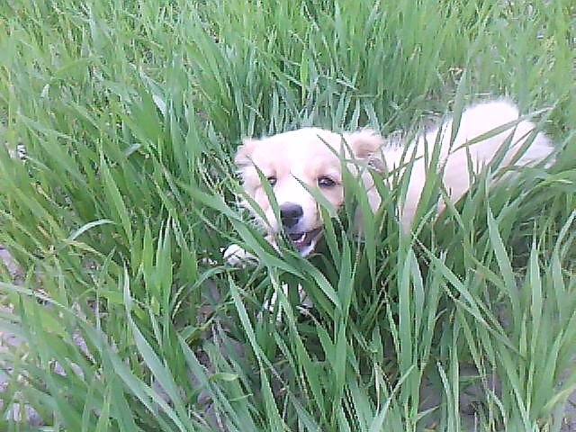 Misia ;*