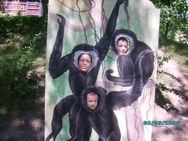 zd  w zoo