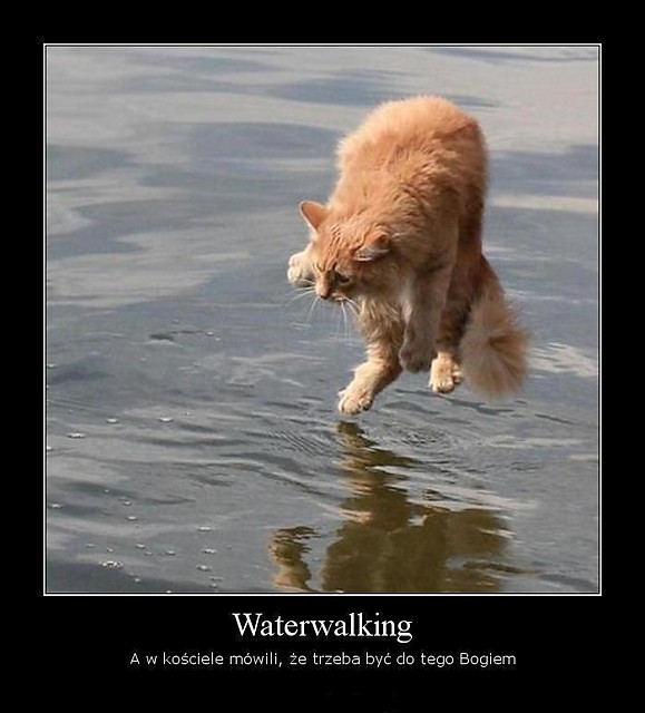 waterwalking.