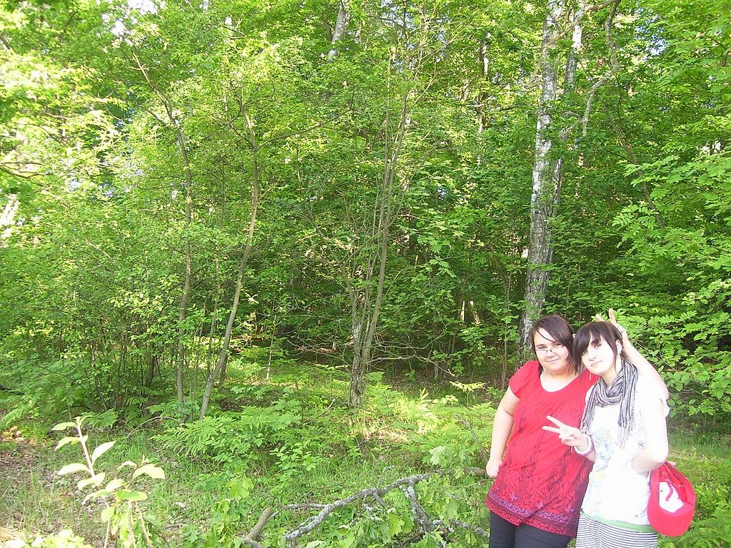 z Nataliii:*:*