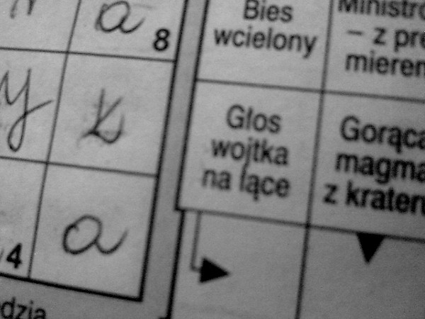 Gos Wojtka