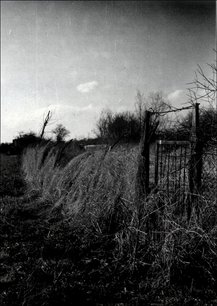 Analogowo 