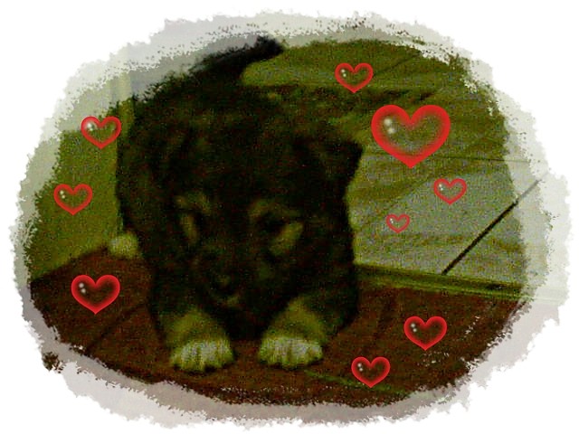 Maxsio :*:*:*:*:*