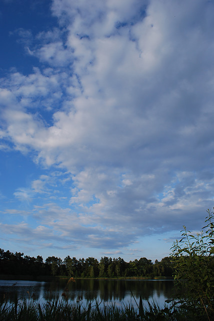 till the sky falls down.