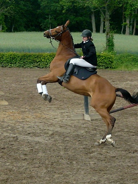 taczymy:)