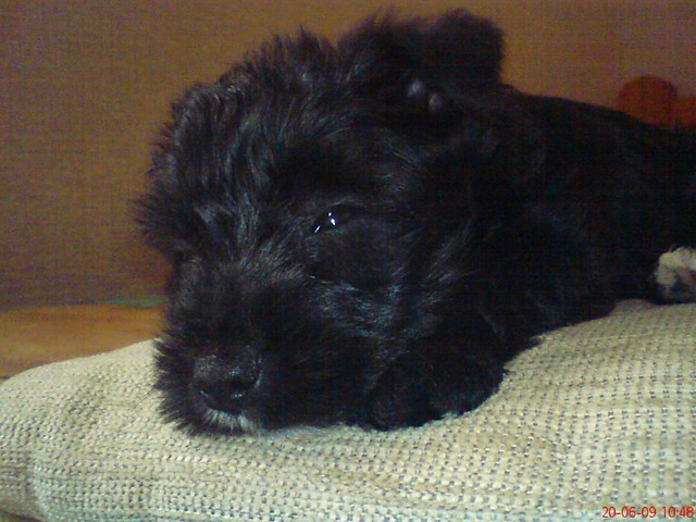 MOJA NIUNIA KOCHANA!!!:*:*:*:*:*