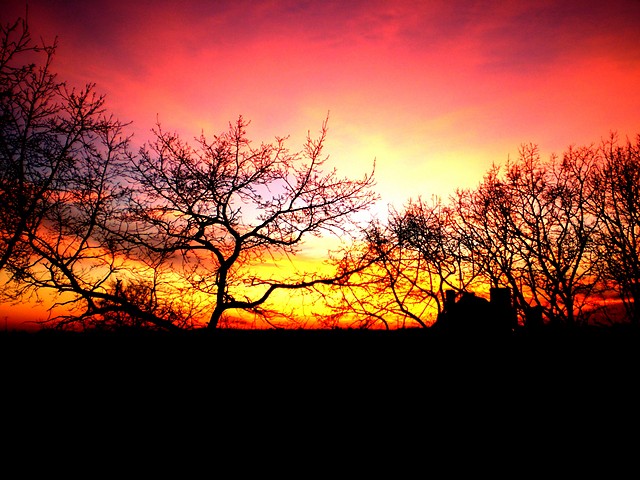 sky.