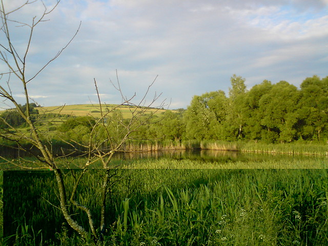 Bieszczady