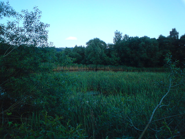 Bieszczady cig dalszy ;)