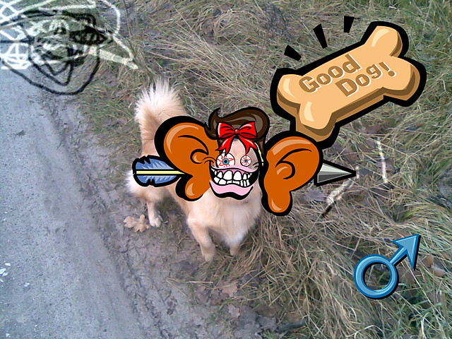 takie cus