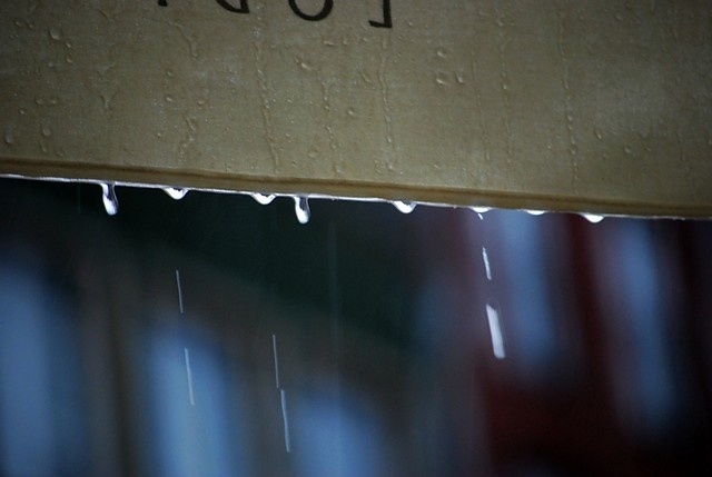 Rain drops