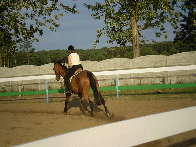Galop (?).