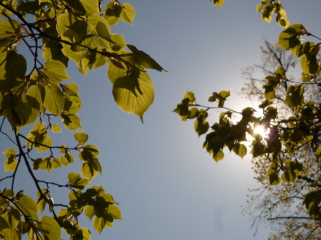Rakowiecka 22.04.2009r.