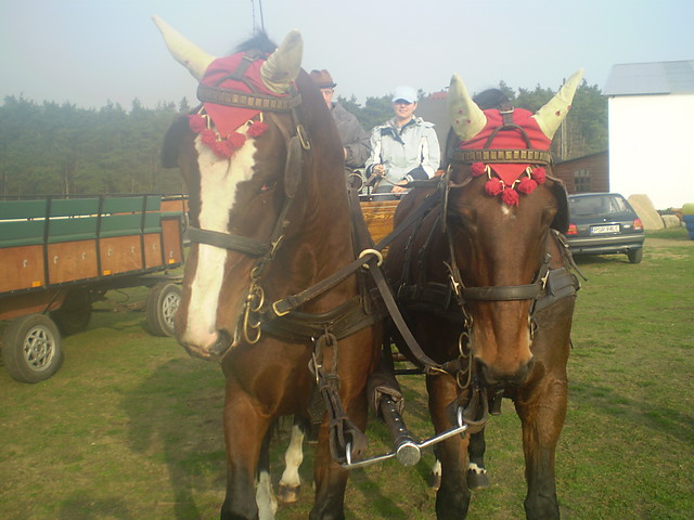 Hubertus ^^.