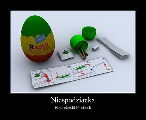 rasta suprise.k
