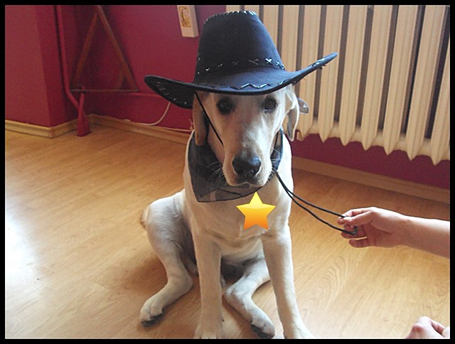 Max 