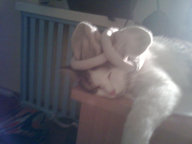 Kotek xd Mj xd Euu!