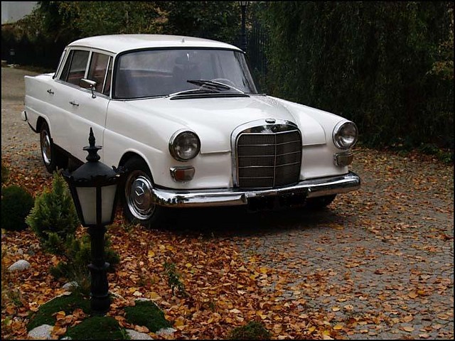 merc jarka