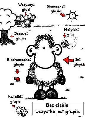 Owca ;D