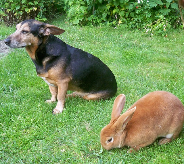 Filip & Kicunia 