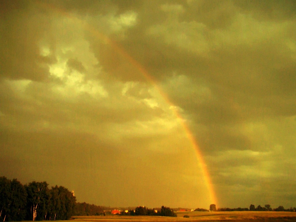 Struck by Rainbow