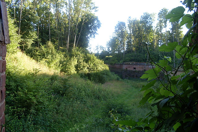 Mazury 2008