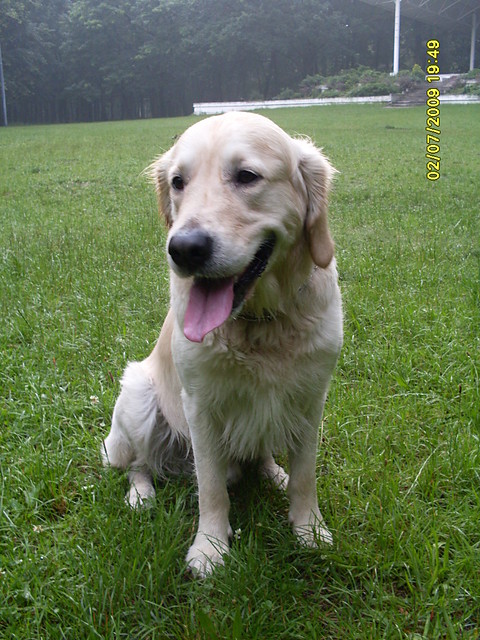 Ozzy - mj podopieczny :-)