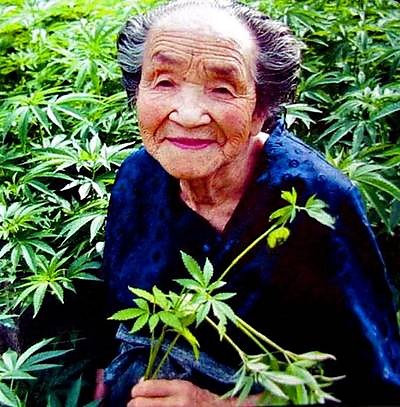 babcia