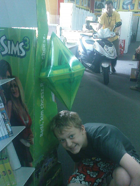 The Sims 3
