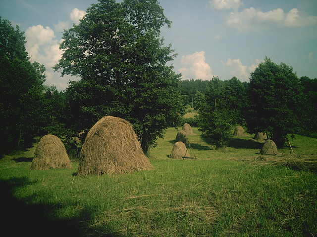 iano kosy 