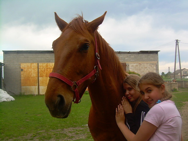 Myy