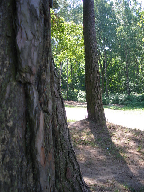 Jankowo