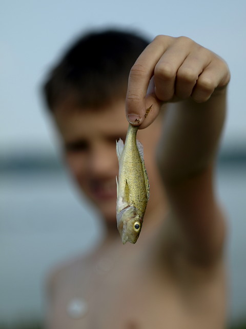ryPka