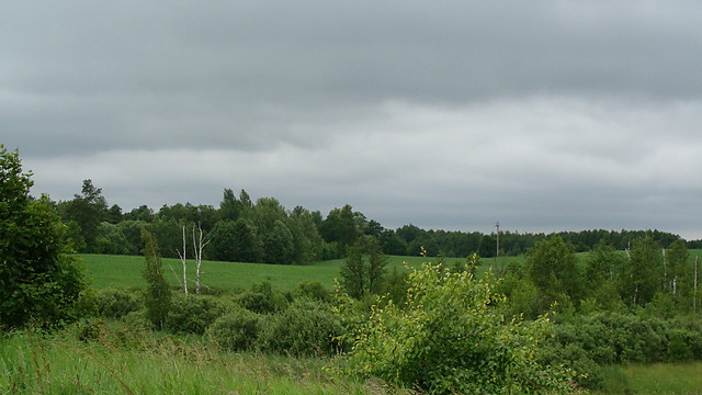 MAZURY