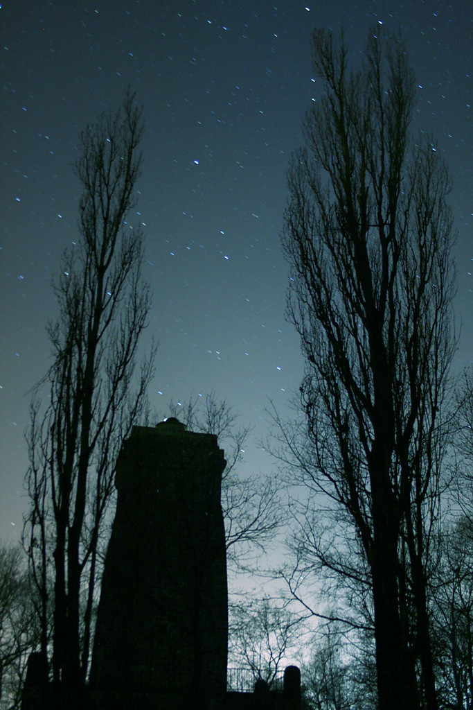 Wiea Bismarcka