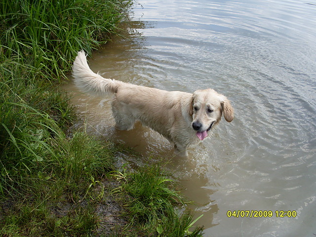 Ozzy :-)
