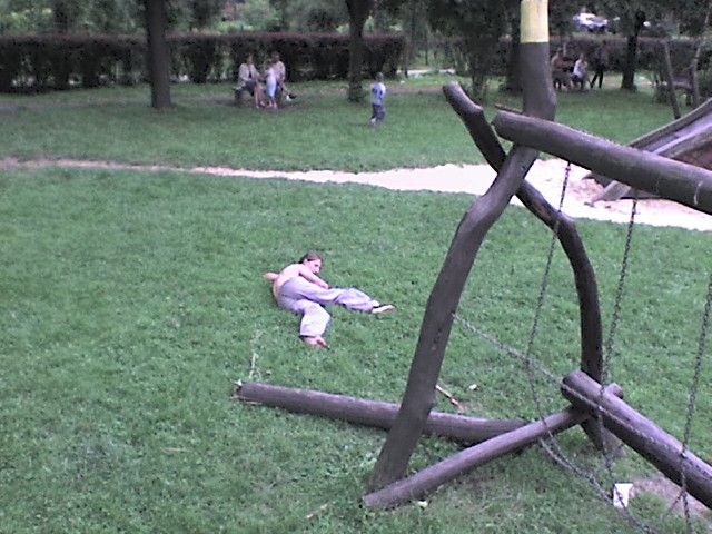 Gleba