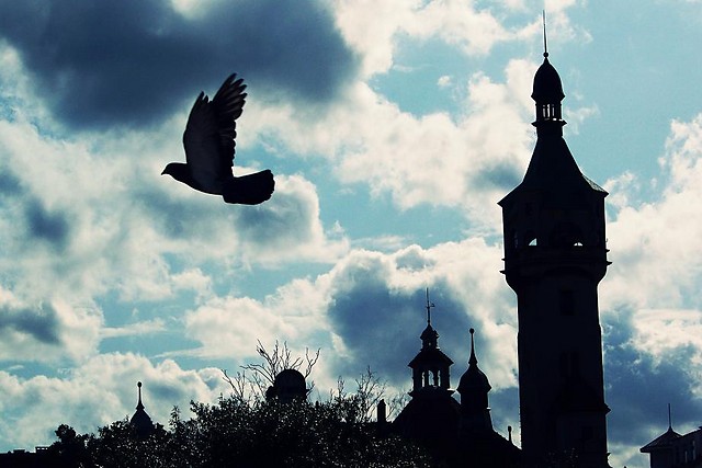 Sopot