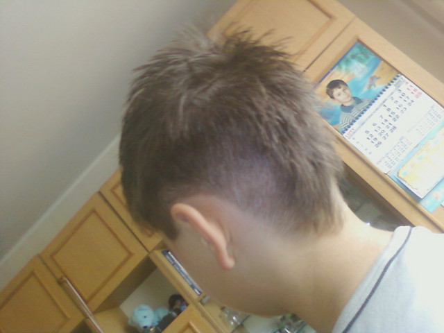 New Fryz