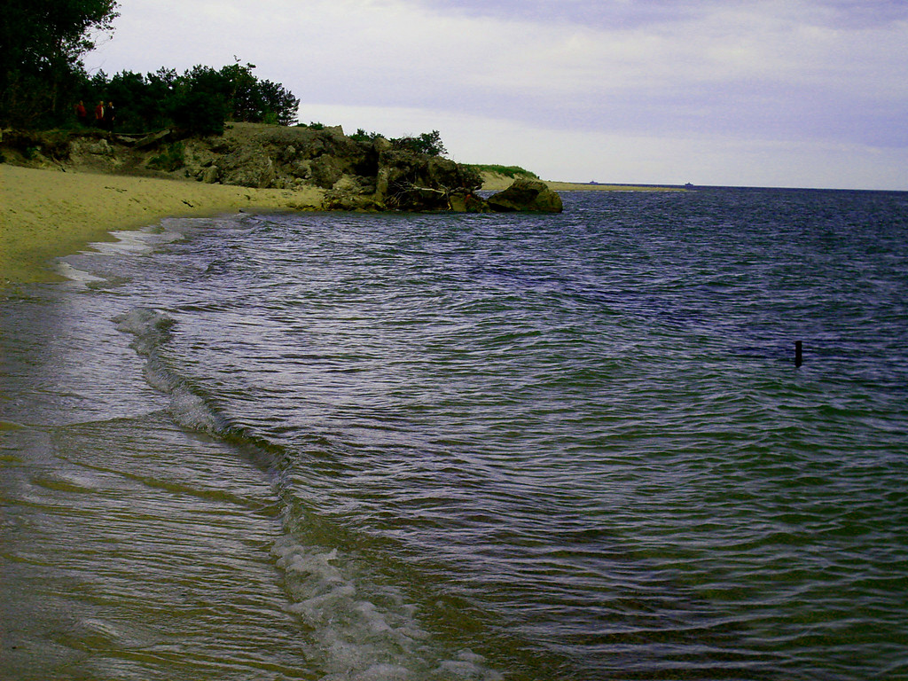 2009.
