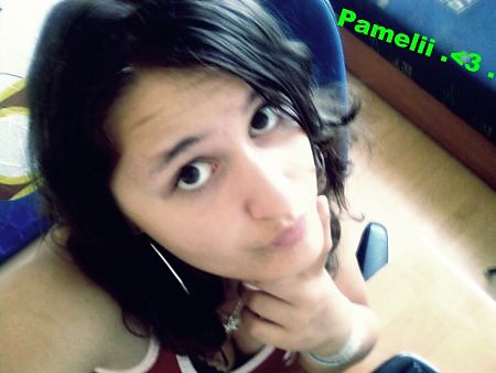 Pamelii.
