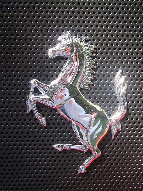 konik ;D