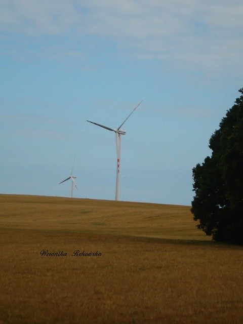  wiatraki .